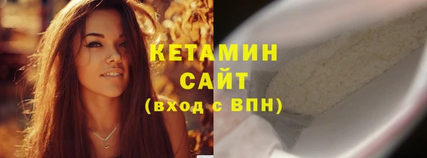 шишки Верея