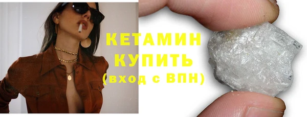 шишки Верея