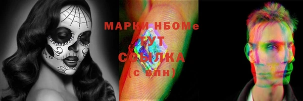 шишки Верея