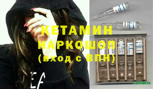 шишки Верея
