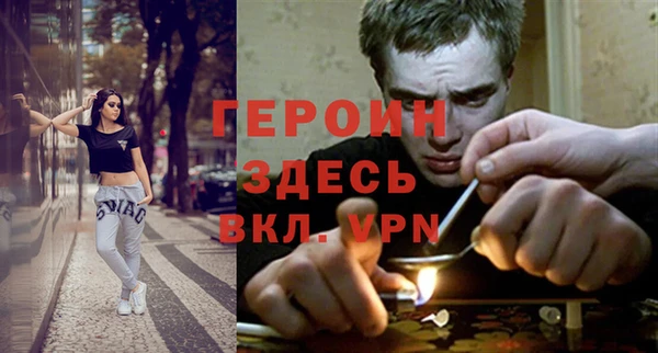 шишки Верея