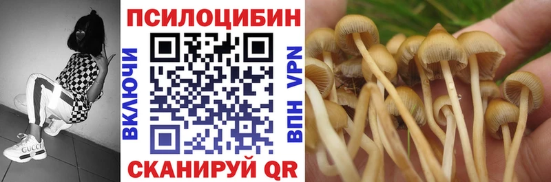 Галлюциногенные грибы Psilocybine cubensis Магадан